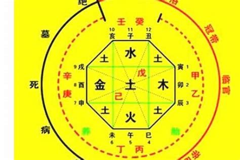 命理 意思|八字命學